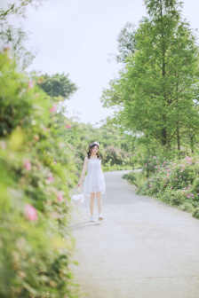 骑蛇难下(双)